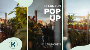Pflanzen Pop-Up 🪴