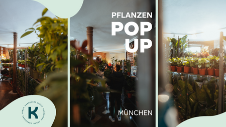 Pflanzen Pop-Up 🪴