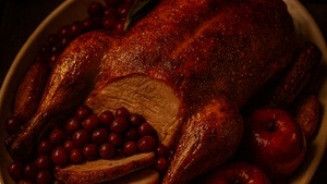 Gibson’s Sexy Gans Dinner im "Chalet 23"