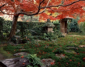 Die Gärten Kyotos im Wandel der Jahreszeiten - Photos von Mizuno Katsuhiko