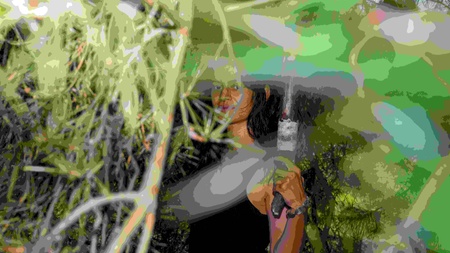 A Scenario Of A System Off