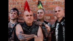 The Casualties