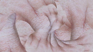 WERKSTATT: UN/AGED – VON LINIEN & FALTEN