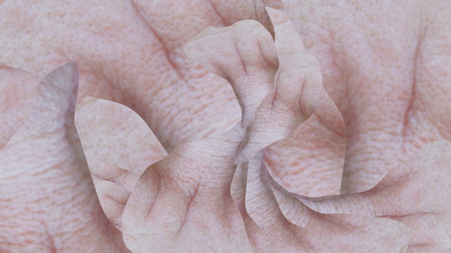 WERKSTATT: UN/AGED – VON LINIEN & FALTEN