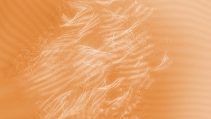 Pai Litzenberger — Proteopoesie, oder: In kleinsten Wellen