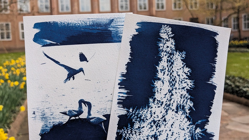 CREATIVE AFTERWORK - Cyanotopie Workshop