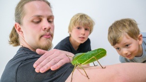 Aktionstag: Vielfalt erleben