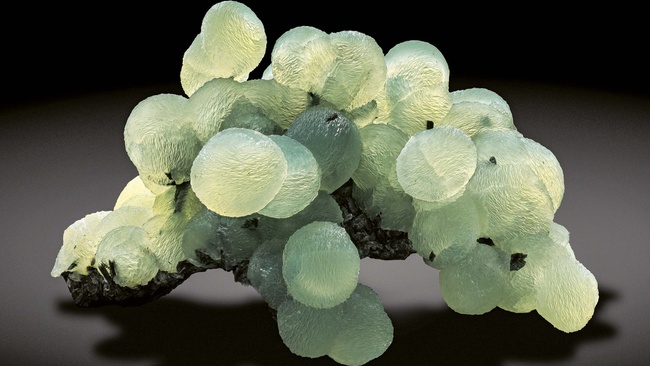 Vortrag: Fraktalstrukturen in der Natur. Über das kreative Spiel der Evolution mit Formen und Mustern