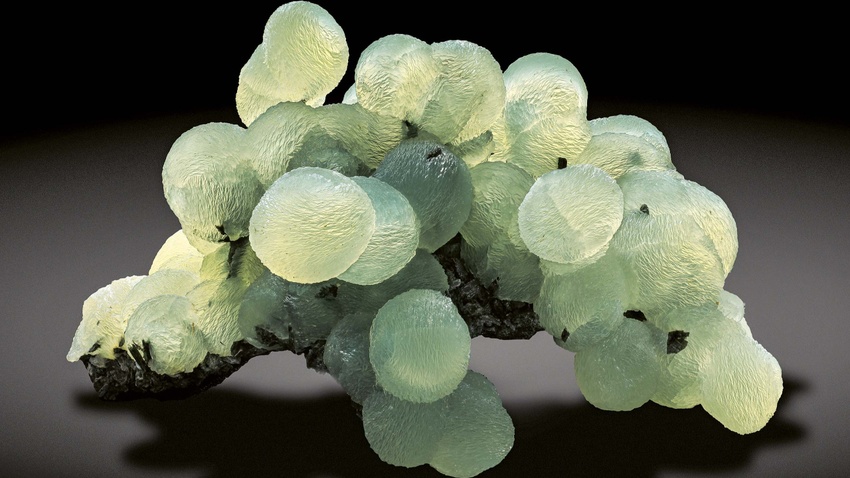 Vortrag: Fraktalstrukturen in der Natur. Über das kreative Spiel der Evolution mit Formen und Mustern