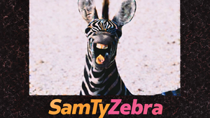 SamTyZebra - Zebra & Friends Live