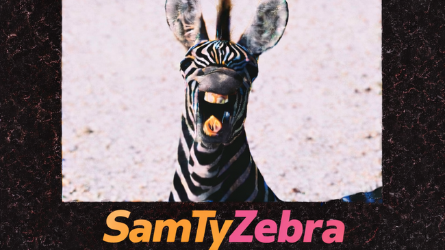 SamTyZebra - Zebra & Friends Live