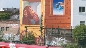 Streetart, Urban Art  & Wandmalerei in Düsseldorf