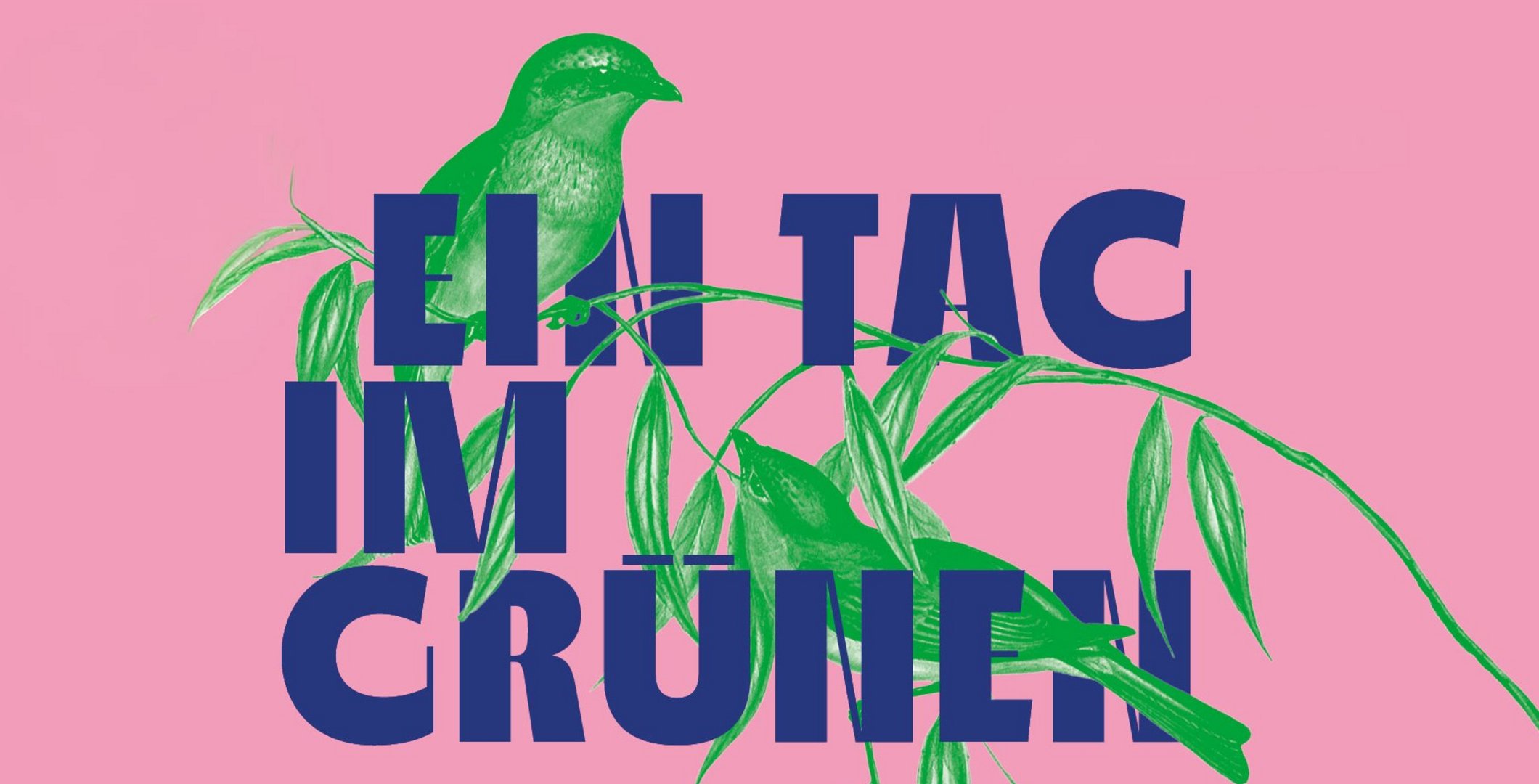 Tag im Grünen 2026. Sommerfest am Kulturforum Berlin