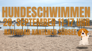 Hundeschwimmen
