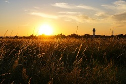 Tempelhofer Feld