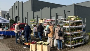 Trödelmarkt Bochumer Eventcenter (Parkplatz und Hallen-Trödelmarkt)