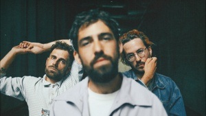 Mad Foxes