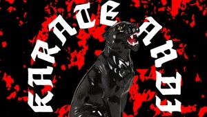 Karate Andi - Wendekreis des Jaguars Tour 2027