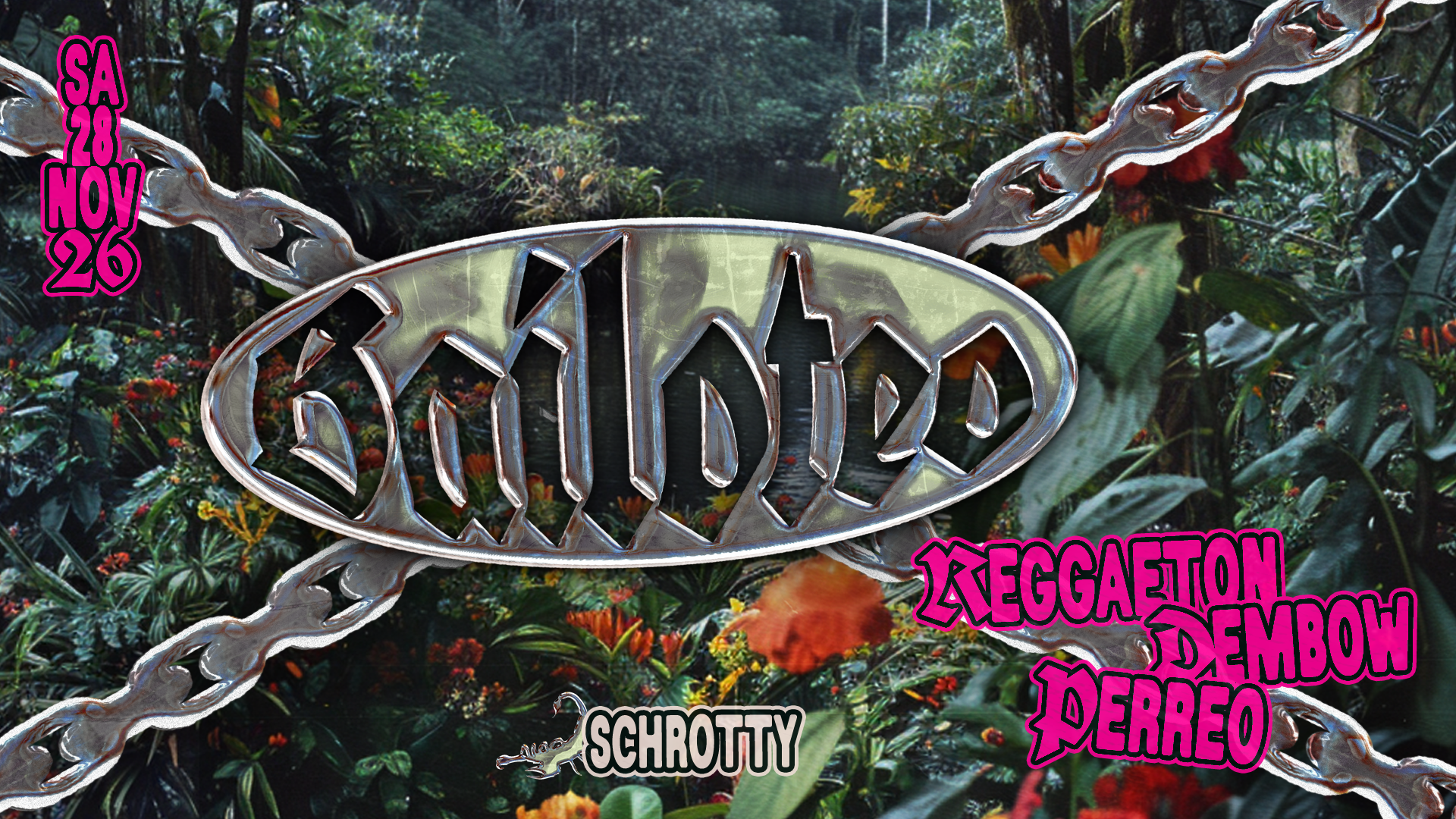 BAILOTEO | SCHROTTY · NOVEMBER