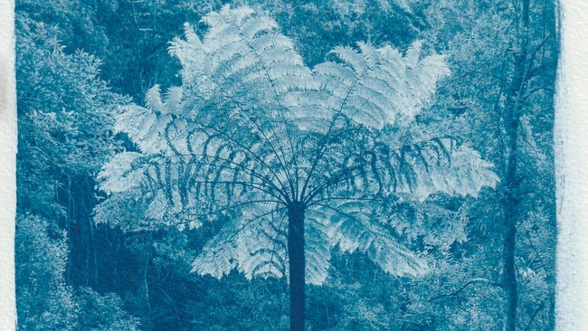 Getrennt. Verbunden. - Fotoausstellung im Rahmen der 47. Duisburger Akzente