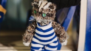 Wuff und Mieze – Der Brief