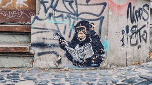 Street Art Führung Bonn