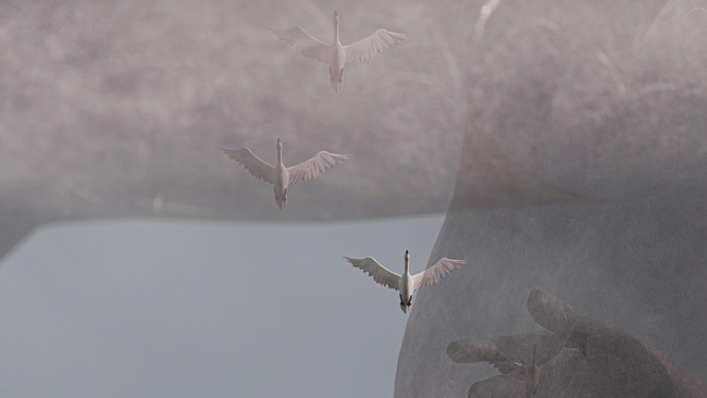 Fragile Landschaften - Was sich zwischen Körper und Wolken berührt Gabi Schillig & Yui Kawaguchi