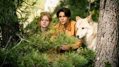 Woodwalkers 2