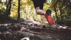 Crosstrail Running Club Freiburg