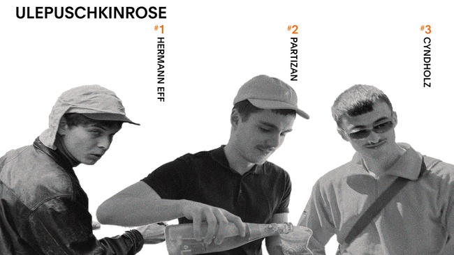 Ulepuschkinrose - Demotour