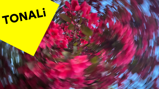 Vom Ursprung und anderen Sprüngen — Quartierskonzert TONALi Festival 2026