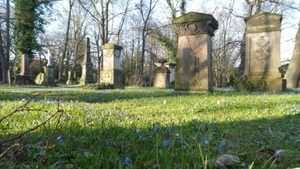 Gräber erzählen Geschichte | Dom- und Magnifriedhof