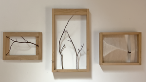 Vernissage: Being-seen-being