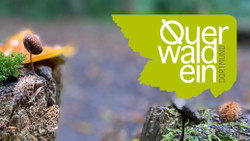 Querwaldein e.V. Dortmund