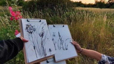 Botanical Drawing - Experimentelles botanisches Zeichnen mit Naturmaterialien auf dem Feld - Wundervolle Orte NeuKölln
