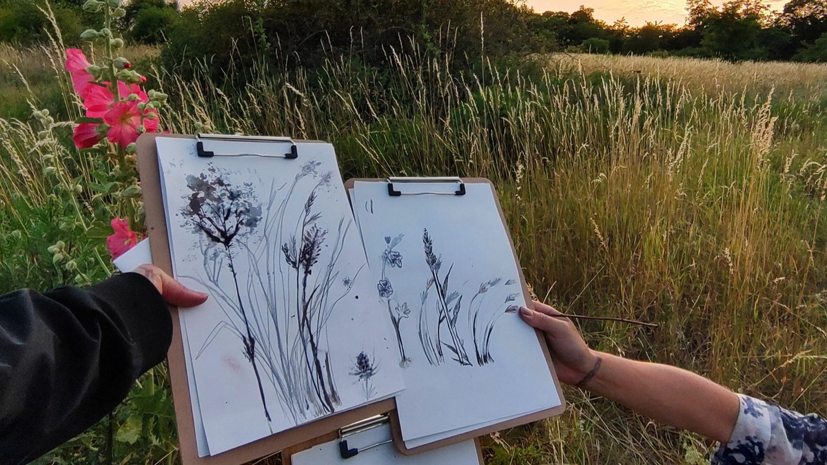 Botanical Drawing - Experimentelles botanisches Zeichnen mit Naturmaterialien auf dem Feld - Wundervolle Orte NeuKölln