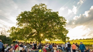 Nacht der Verführung