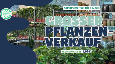 Großer Pflanzenverkauf - Karlsruhe