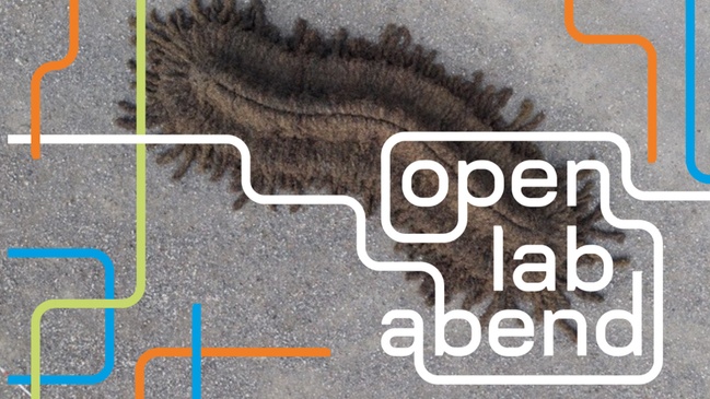 Open Lab Abend: Seegras als vernetztes Material