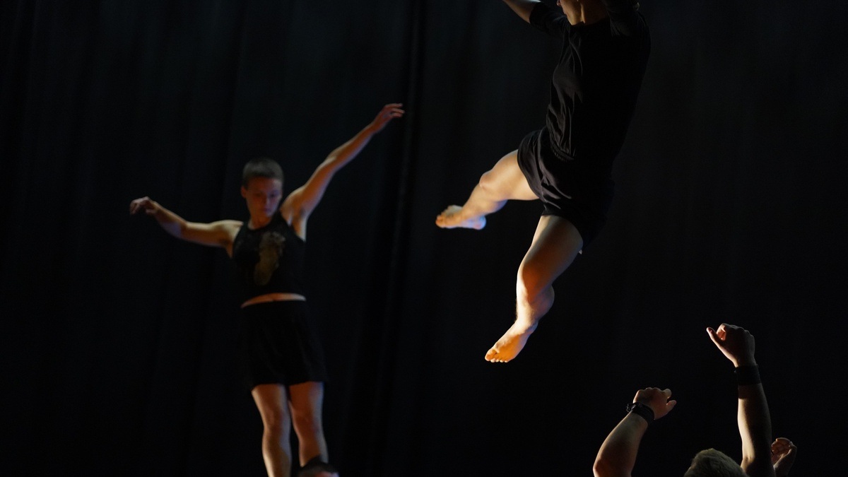 fragil und Kollektiv