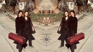 Klassik im Neustädter Hafen?