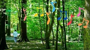 Walk&Sing für Frauen*