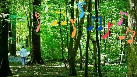 Walk&Sing für Frauen*