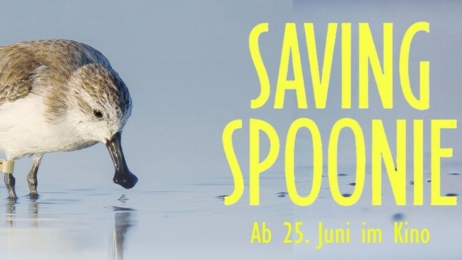 SPECIAL SCREENING: Dokumentarfilm "SAVING SPOONIE" mit Regiegespräch