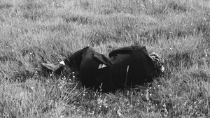 THE SICK MAN OF EUROPE // brandherd at Altes Volksbad