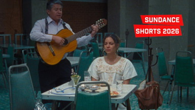 Shorts Attack: Sundance Shorts 2026 im Freiluftkino Insel in den Atelier Gardens