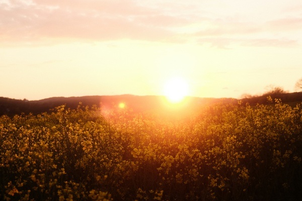 What's happening in August 2025? - Events in the Ruhr region