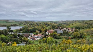 Wanderung: Obstblüte & Weinbergblicke
