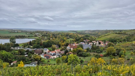 Wanderung: Obstblüte & Weinbergblicke