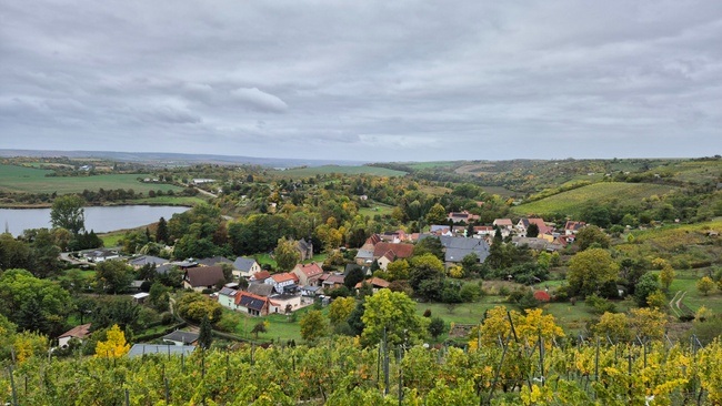 Wanderung: Obstblüte & Weinbergblicke